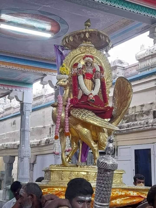 Palani Panguni Utthiram festival begins with flag hoisting Palani Panguni Utthiram festival begins with flag hoisting