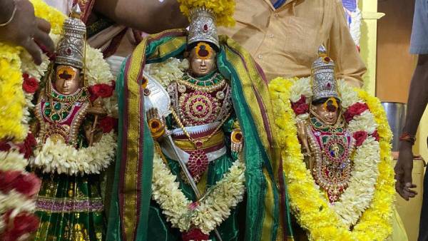 Palani Panguni Utthiram car festival today thousands of devottees witness Palani Panguni Utthiram car festival today thousands of devottees witness