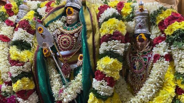 Palani Panguni Utthiram car festival today thousands of devottees witness Palani Panguni Utthiram car festival today thousands of devottees witness