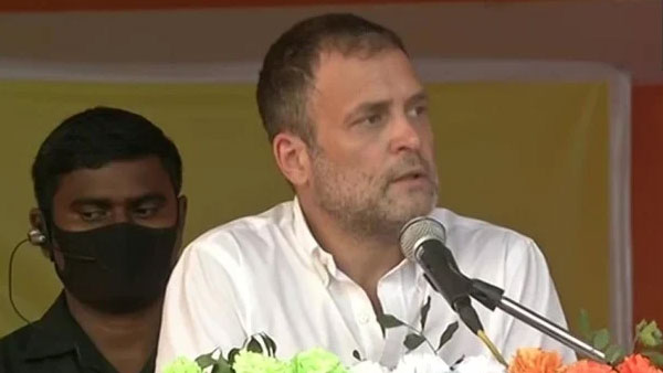 Citizenship Amendment Act is not implemented in Assam, says Rahul Gandhi Citizenship Amendment Act is not implemented in Assam, says Rahul Gandhi