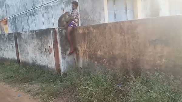 வீடியோ