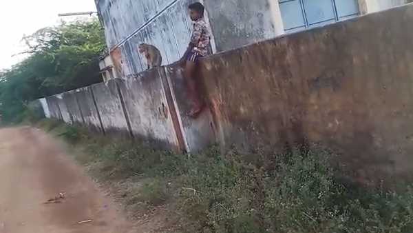 சேட்டை