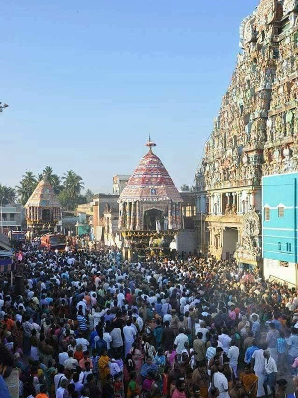 Thiruvanaikaval Arulmigu Jambukeswarar Akilandeswari temple Panguni Car Festival Thiruvanaikaval Arulmigu Jambukeswarar Akilandeswari temple Panguni Car Festival