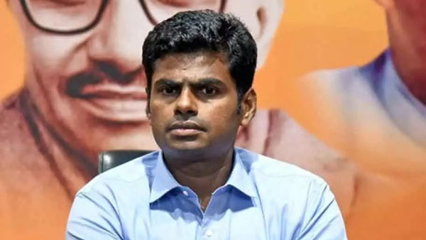 BJP Tamilnadu vice president Annamalai tested positive for coronavirus BJP Tamilnadu vice president Annamalai tested positive for coronavirus