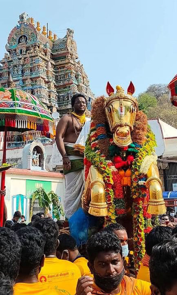 வைகையில் எழுந்தருளிய கள்ளழகர்