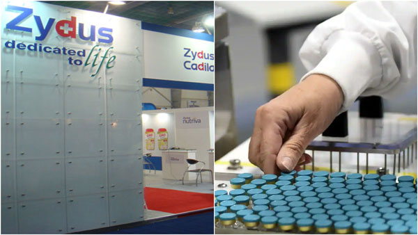 Covid 19: Zydus Verafin Anti Virus Drug Dcgi Approval Covid 19: Zydus Verafin Anti Virus Drug Dcgi Approval