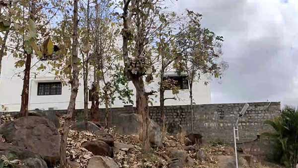 லிப்ஸ்டிக்