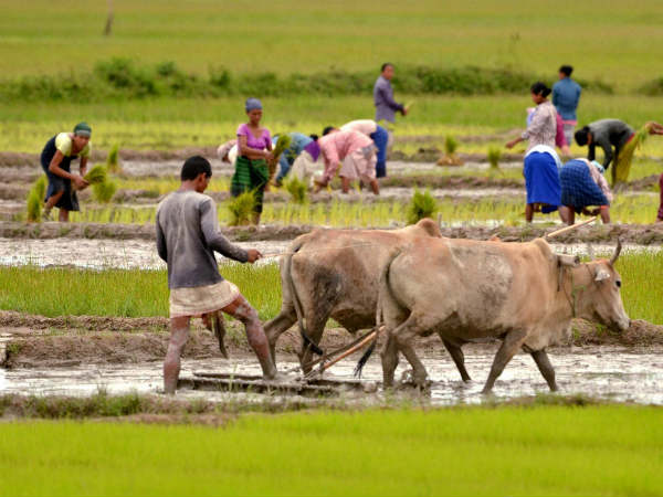 உழவுத்தொழில்