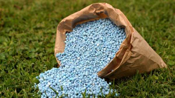 Fertilizers can be bought at the old price: says Union Minister Fertilizers can be bought at the old price: says Union Minister