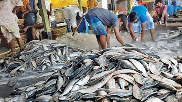 65-day ban on fishing in Bay of Bengal begins today 65-day ban on fishing in Bay of Bengal begins today