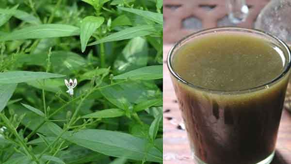 உணவே மருந்து, மருந்தே உணவு