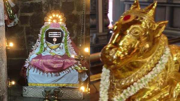 Sani Pradosam Today Pooja Viratham importance Sani Pradosam Today Pooja Viratham importance