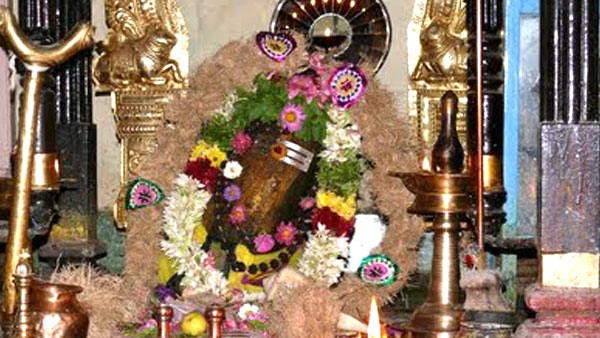 Devotees are allowed to Sathuragiri Sundaramahalingam Temple Devotees are allowed to Sathuragiri Sundaramahalingam Temple