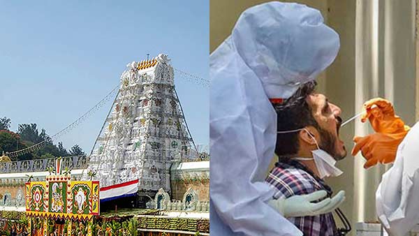 People with fever, cold and cough should not come to Tirumala - permission to visit for up to 90 days People with fever, cold and cough should not come to Tirumala - permission to visit for up to 90 days