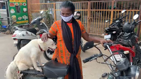 வீடியோ