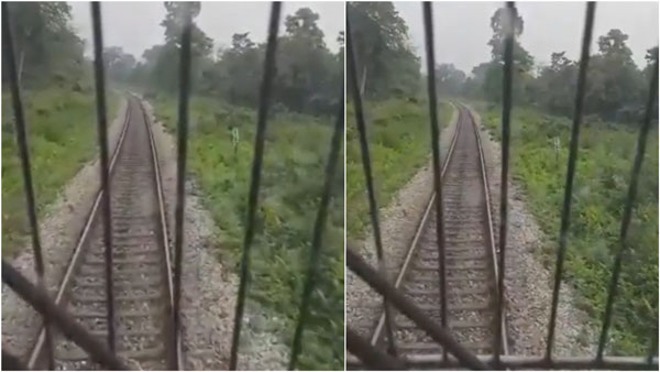Train drivers quick decision saves elephant and her baby Train drivers quick decision saves elephant and her baby