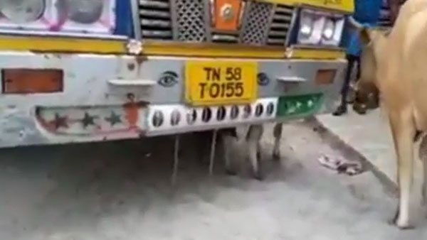 போராட்டம்