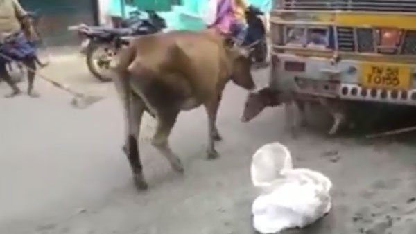 புதுக்கோட்டை