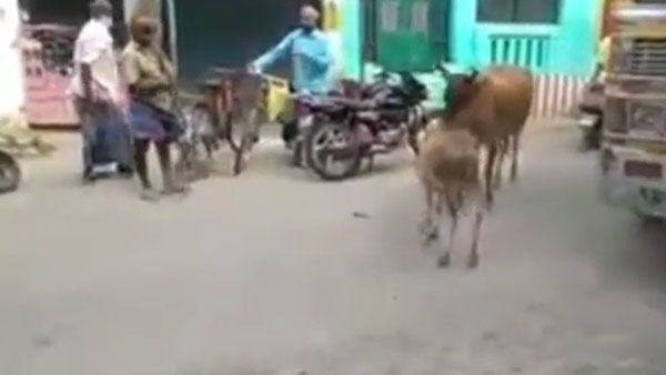 வைரல்