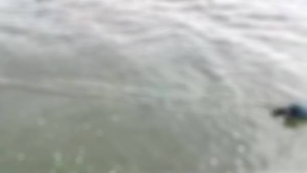 Dead bodies found floating in Ganga near Patnas Gulabi Ghat Dead bodies found floating in Ganga near Patnas Gulabi Ghat