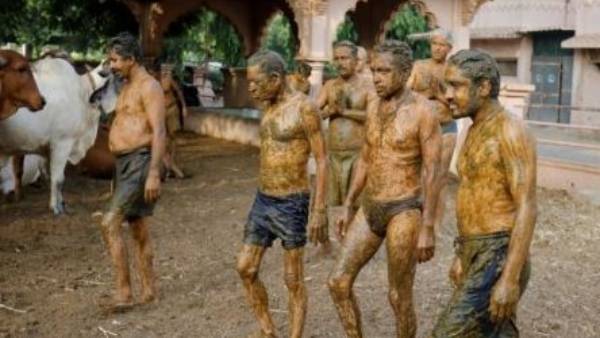 புதிய நோய்கள் பரவும் அபாயம்
