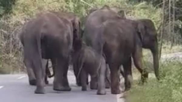 சமாதானம் அடைந்தது
