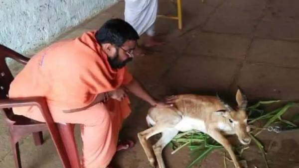 In Karnataka a seer seen with deer In Karnataka a seer seen with deer