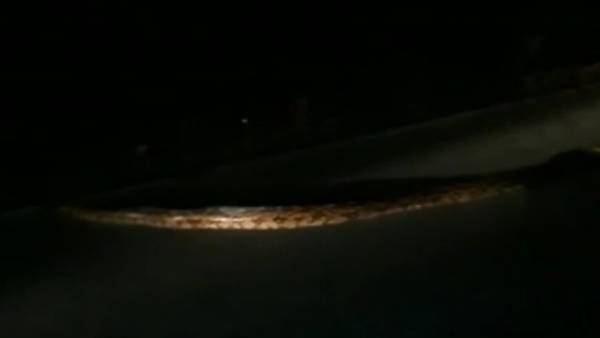 மருந்து வாகனங்கள்