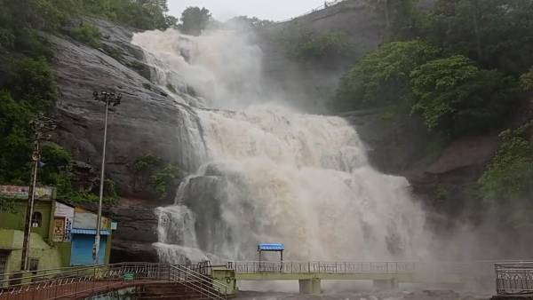 Heavy rains in Nellai and Tenkasi - Overflowing dams - Floods in Courtallam falls Heavy rains in Nellai and Tenkasi - Overflowing dams - Floods in Courtallam falls