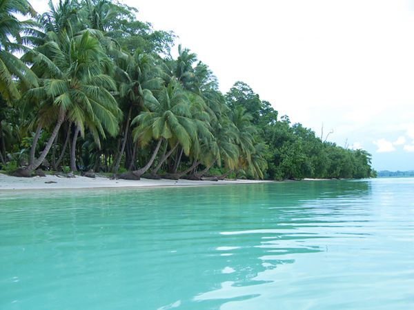 பெரும்பான்மையினர் இஸ்லாமியர்கள்