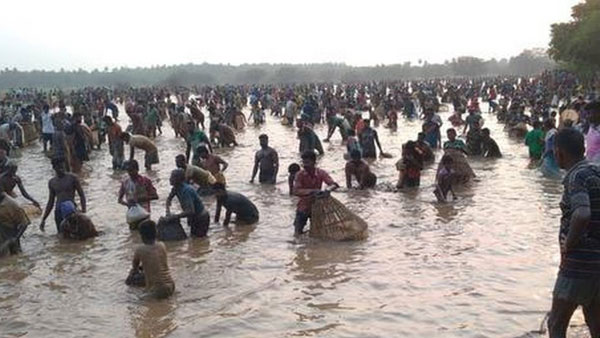 மீன்பிடி திருவிழா