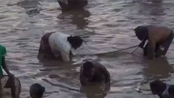 நிறைய மீன்கள் பிடித்தனர்