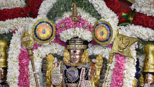 Vaikasi visakam Festival: Palabhishekam to Shanmugar at Thiruparankundram Murugan Temple Vaikasi visakam Festival: Palabhishekam to Shanmugar at Thiruparankundram Murugan Temple