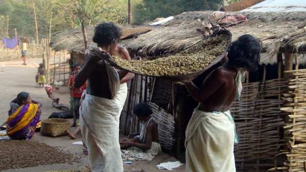 கொரோனா தொற்று பரவல்