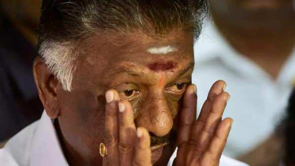சீனியர்களுக்கு வலை