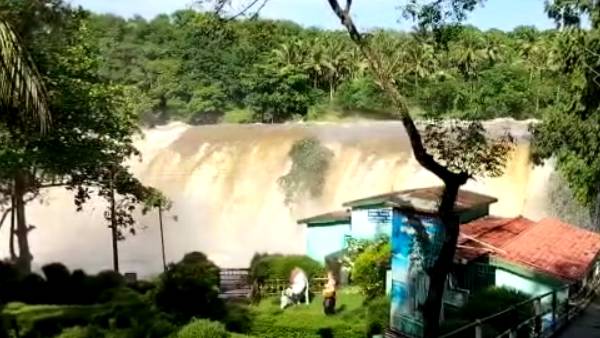 Rain lashes Kanyakumari Floods in Thirparappu falls Rain lashes Kanyakumari Floods in Thirparappu falls