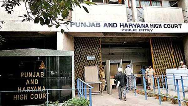 Live-in relationships not prohibited by law says Punjab & Haryana HC Live-in relationships not prohibited by law says Punjab & Haryana HC