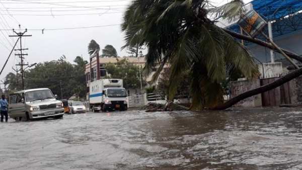 மரங்கள் விழுந்தன