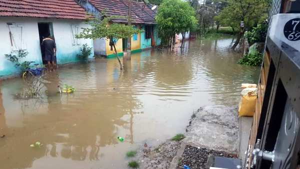 விளைநிலங்கள் மூழ்கின