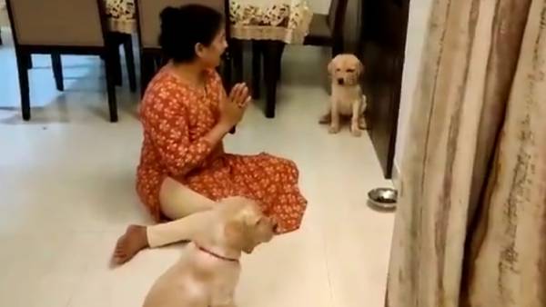 சைகையில் உத்தரவு