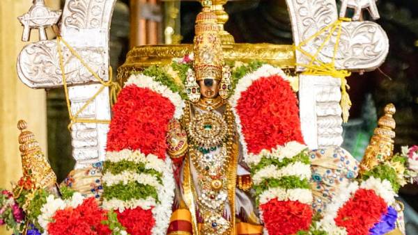 Srirangam Chithirai Festival : 7th day event Nellaru Kandaruliya Namperumal Srirangam Chithirai Festival : 7th day event Nellaru Kandaruliya Namperumal