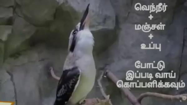 மருந்து