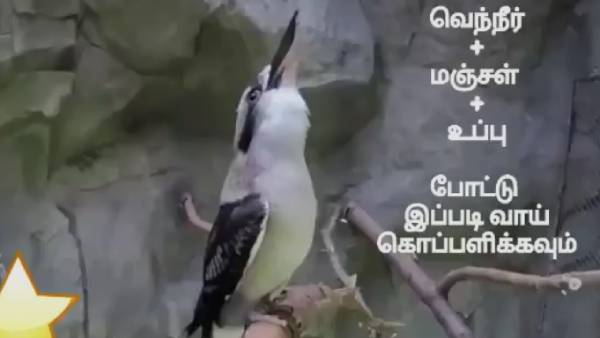 தவறு