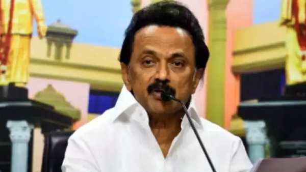 பெட் தட்டுப்பாடு இல்லை