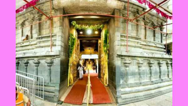 விஐபி தரிசனம்