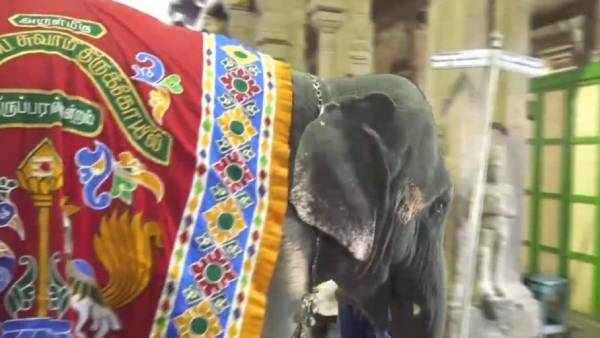 மருத்துவர்கள் கண்காணிப்பு