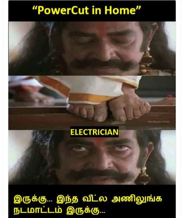 அணில் இருக்கு