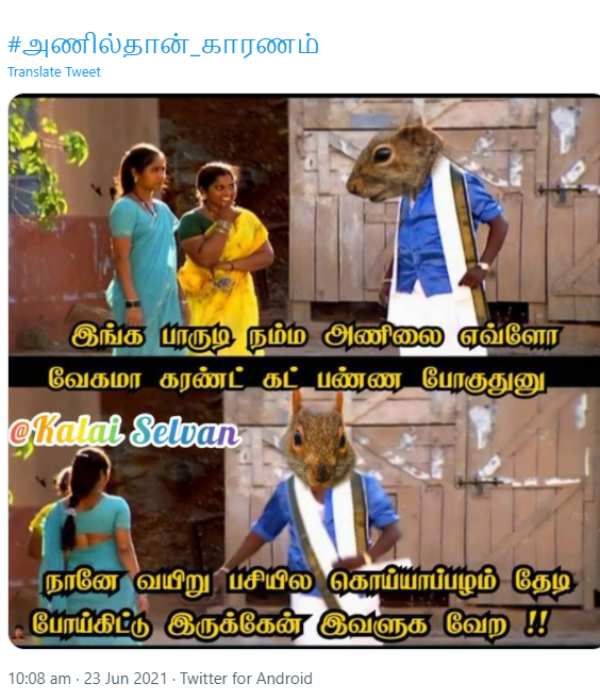 கொய்யாப் பழம்