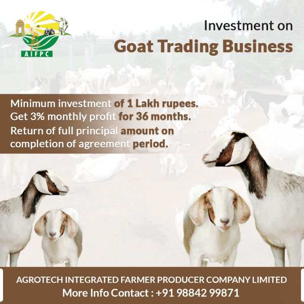 Agrotech company Chicken farming will give sustainable income in villages Agrotech company Chicken farming will give sustainable income in villages