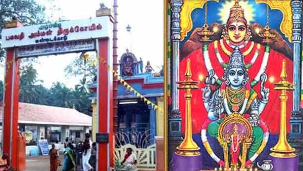 பல விஷயங்கள் வெளியே வந்தன